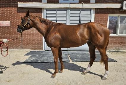 ���ֿ��� ����