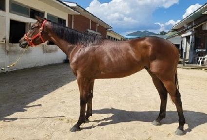 ��ī������ ����