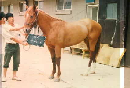 ������ ����