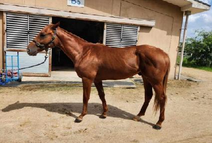 Ȳ�� ����