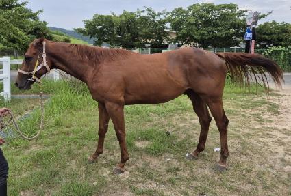 ������ũ��� ����