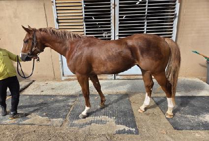 ���Ϸ� ����