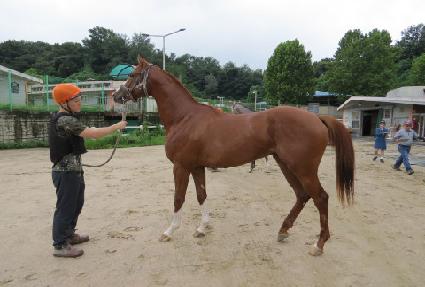 õ�������� ����