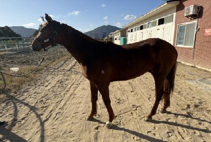 ���ͺ����̵� ����