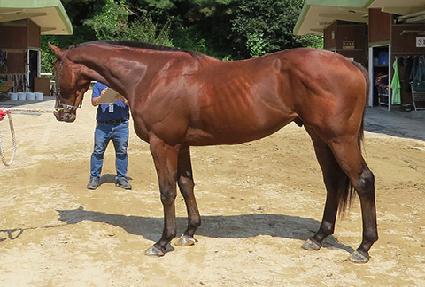 ��״ٿ� ����