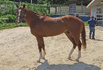 ��Ÿ�½��� (BULTANEUN SIMJANG) ����