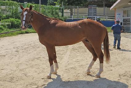 ��Ÿ�½��� ����