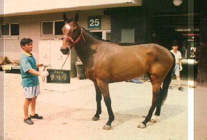 ���ڸ� ����