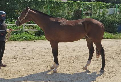 ������� ����