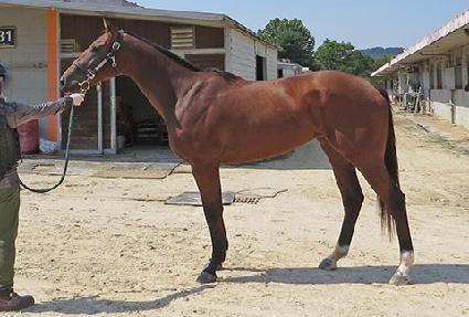 ������Ż�� ����