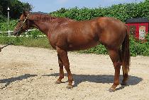 �б��ǹݼ� (APKWONEUI BANSEOK) ����