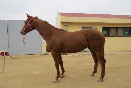 �Ļ翡�̽� ����