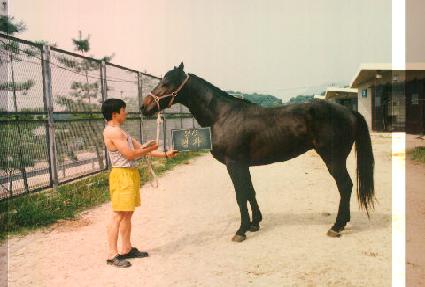 ���� ����