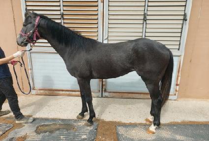 �����ǹڼ� ����