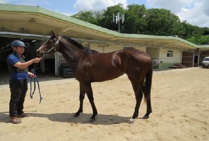 �������̵� ����