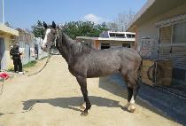 ����Ƽ����Ʈ (MIGHTY POINT) ����