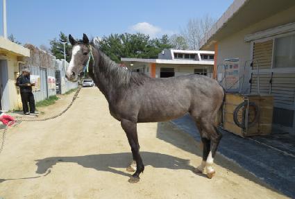 ����Ƽ����Ʈ ����