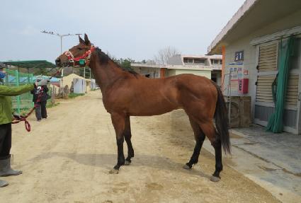 ����Ʈ��Ʈ ����