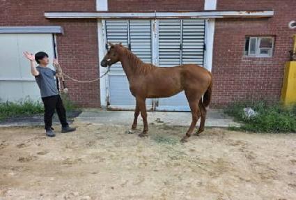 �ſ� ����