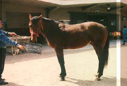 �ֵ���� ����