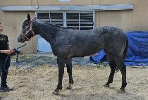 �̽ʳ����� (ISIMNYEON JIGI) ����