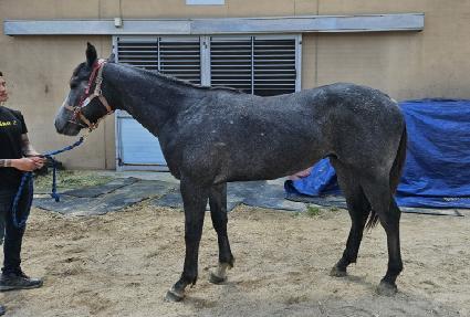 �̽ʳ����� ����