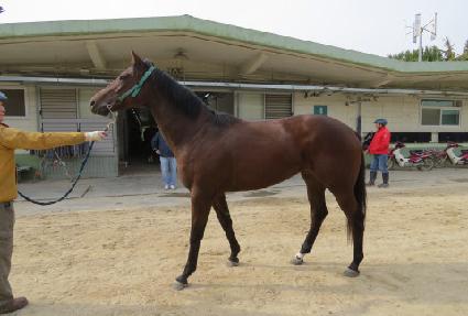 ���ʹ׽��Ǿ� ����