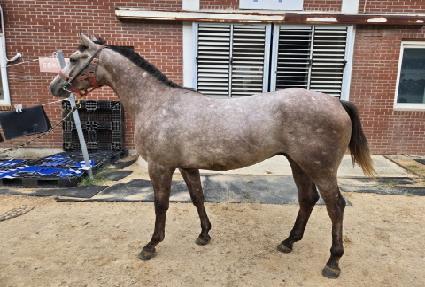 ��ǳ���߽� ����