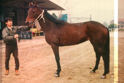 ��â�� ����