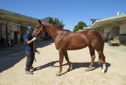 �ӽ��ʿ� ����