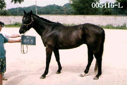 ������ ����