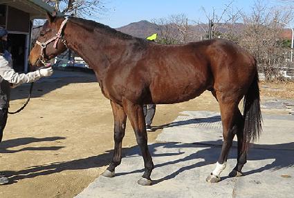 �����Ʈ���� ����