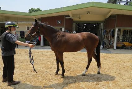 ����η��̽� ����