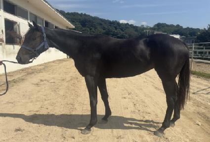 ����ġ ����