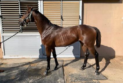 â���ǳ��� ����