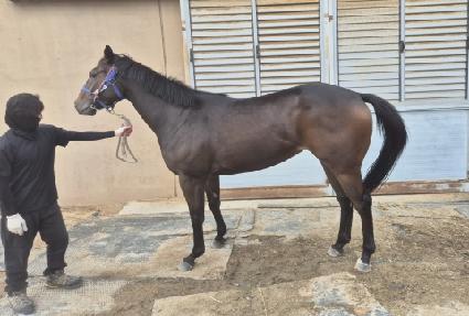 �������� ����