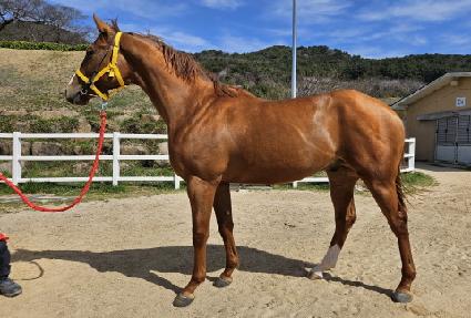 �����¡�� ����