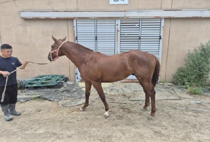 ���丮��� ����