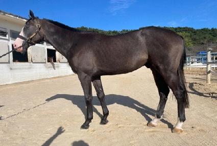 ���̶���Ʈŷ ����