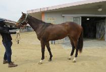 ������ (GEOMEUN SUP) ����