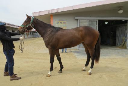 ������ ����