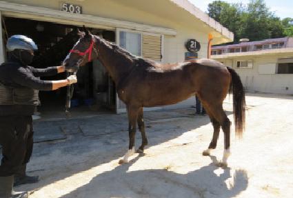 Ŭ���������� ����