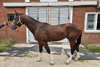 ��Ÿ���� ����