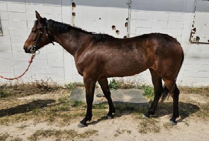 ���̿����� ����