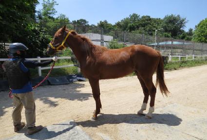 �����۷��� ����