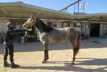 ������� (JEONGWOO BULPAE) ����