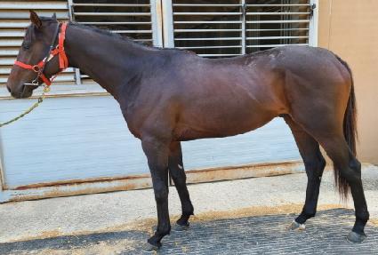 �Ž��͸��� ����