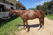 ���̺�� (HEY BRO) ����