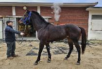 �¿պ� (TAEWANGBIT) ����