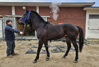 �¿պ� ����